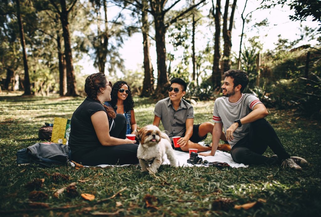 Friends with dog at a picnic in the park on a blanket, Platinum Resumes, Kansas City, MO